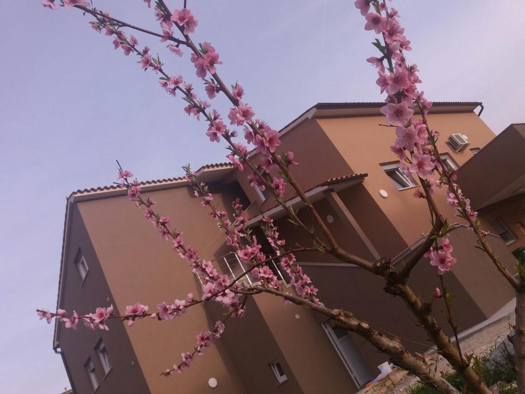 Apartmani B&B Лижнян Экстерьер фото