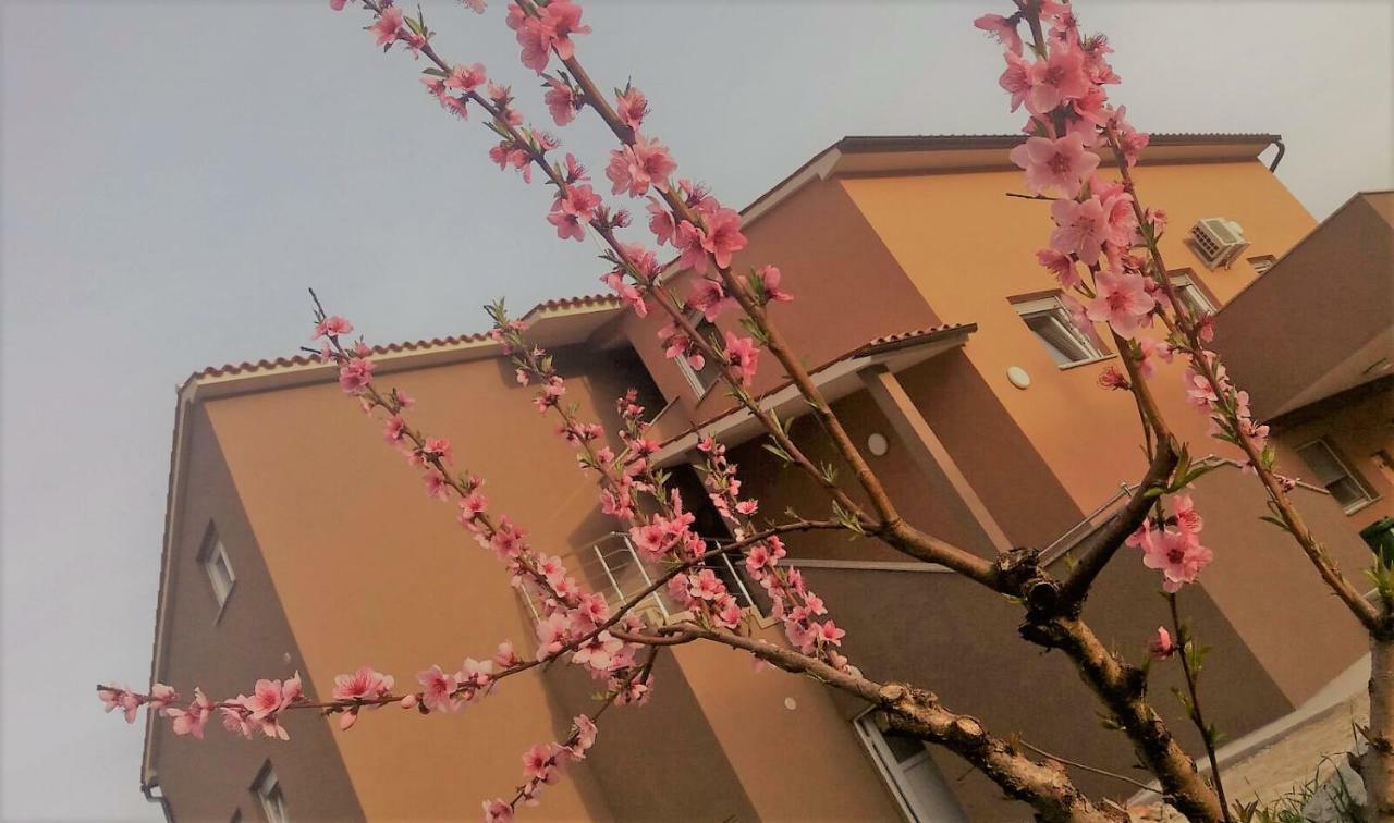 Apartmani B&B Лижнян Экстерьер фото
